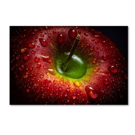 Trademark Fine Art